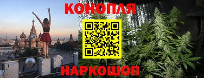 прущие крисы Изобильный