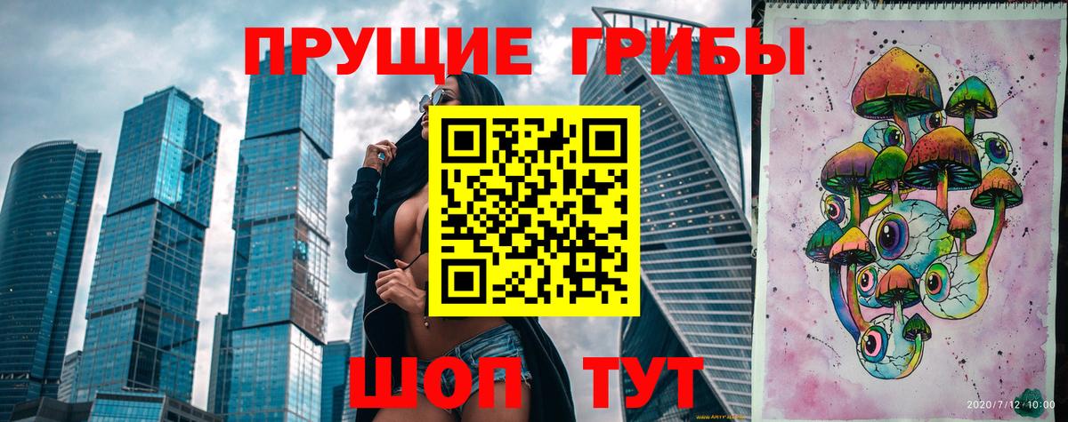 Галлюциногенные грибы Psilocybe Ижевск