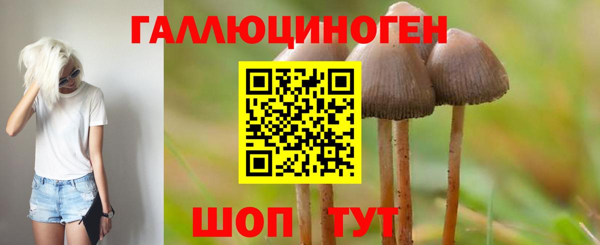Ижевск  Галлюциногенные грибы Psilocybe  Псилоцибиновые грибы прущие грибы  Вход с VPN 
